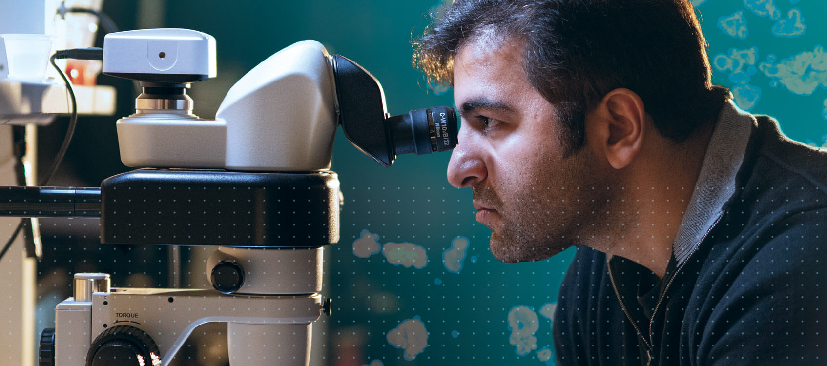 Morgridge Scientists